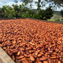 Ruta de las Flores - Naranjito