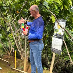 Ruta de las Flores - Naranjito