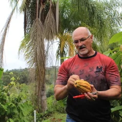 Ruta de las Flores - Naranjito