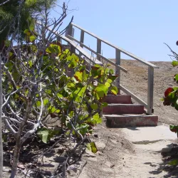 Caja de Muertos Island - Ponce