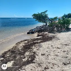 La Guancha Boardwalk (Paseo Tablado La Guancha) - Ponce