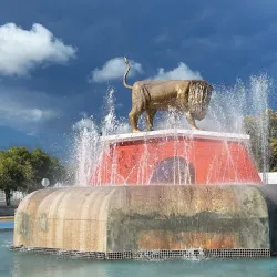La Guancha Boardwalk (Paseo Tablado La Guancha) - Ponce