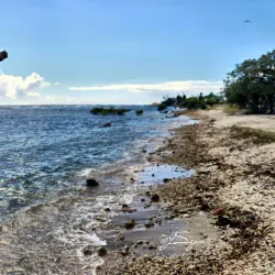 La Guancha Boardwalk (Paseo Tablado La Guancha) - Ponce