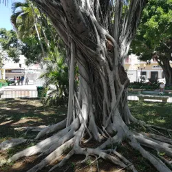 Ponce Cathedral (Catedral de Nuestra Señora de Guadalupe) - Ponce