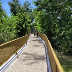Tibes Indigenous Ceremonial Center (Centro Ceremonial Indígena de Tibes) - Ponce