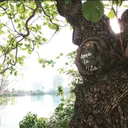 Condado Lagoon - Puerto de Tierra