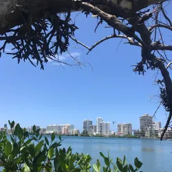 Condado Lagoon - Puerto de Tierra