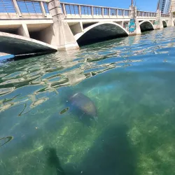Condado Lagoon - Puerto de Tierra