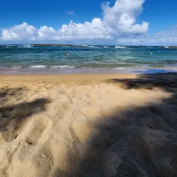 Parque Luis Muñoz Rivera - Puerto de Tierra