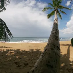 Domes Beach (Playa Domes) - Rincon