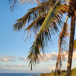 Domes Beach (Playa Domes) - Rincon