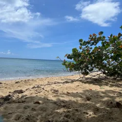 Maria's Beach (Playa Maria) - Rincon