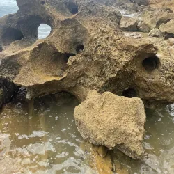 Punta Higuero Beach - Rincon