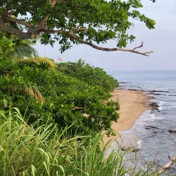 Punta Higuero Beach - Rincon