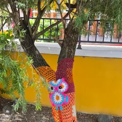 Rincon Art Walk - Rincon