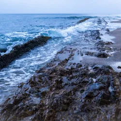 Tres Palmas Marine Reserve - Rincon