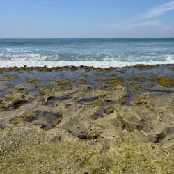Tres Palmas Marine Reserve - Rincon