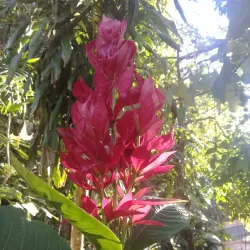 Parque Ecológico de Sabana Grande - Sabana Grande