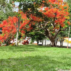Parque Ecológico de Sabana Grande - Sabana Grande