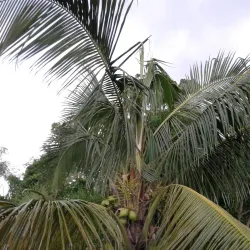Parque Ecológico de Sabana Grande - Sabana Grande