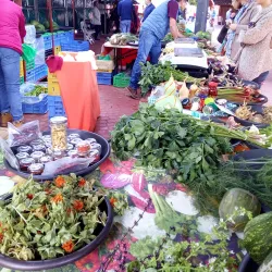 Mercado Agrícola de San Lorenzo - San Lorenzo