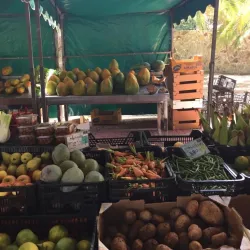 Mercado Agrícola de San Lorenzo - San Lorenzo