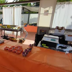 Mercado Agrícola de San Lorenzo - San Lorenzo