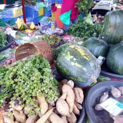 Mercado Agrícola de San Lorenzo - San Lorenzo