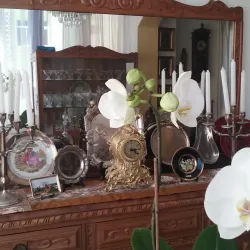 Mercado Agrícola de San Lorenzo - San Lorenzo