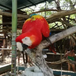 Parque Ecológico San Lorenzo - San Lorenzo