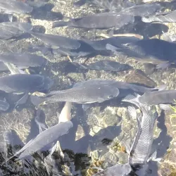 Parque Ecológico San Lorenzo - San Lorenzo