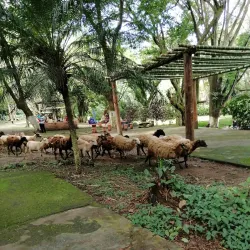 Parque Ecológico San Lorenzo - San Lorenzo