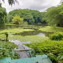 Parque Ecológico San Lorenzo - San Lorenzo