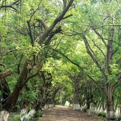 Parque Ecológico San Lorenzo - San Lorenzo