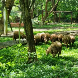 Parque Ecológico San Lorenzo - San Lorenzo