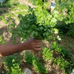 Río Emajagua - San Lorenzo