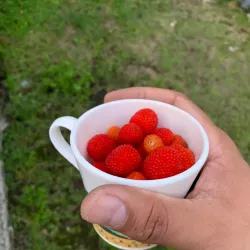 Río Emajagua - San Lorenzo