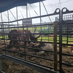 Festival de la Agricultura - Santa Isabel