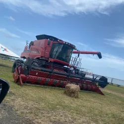 Festival de la Agricultura - Santa Isabel