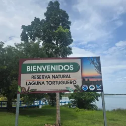 Laguna Tortuguero - Santa Isabel