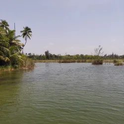 Laguna Tortuguero - Santa Isabel