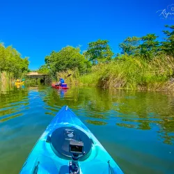 Laguna Tortuguero - Santa Isabel