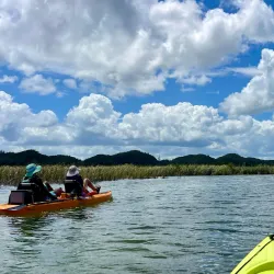 Laguna Tortuguero - Santa Isabel