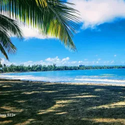 Balneario Toa Alta - Toa Alta