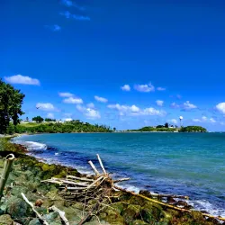 Balneario Toa Alta - Toa Alta