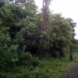 Casa Museo de Toa Alta - Toa Alta