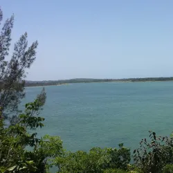 Reserva Natural Laguna Tortuguero - Toa Alta