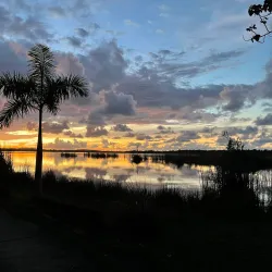 Reserva Natural Laguna Tortuguero - Toa Alta