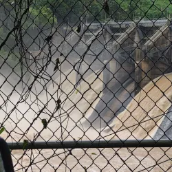 Carraízo Reservoir (Embalse de Carraízo) - Trujillo Alto