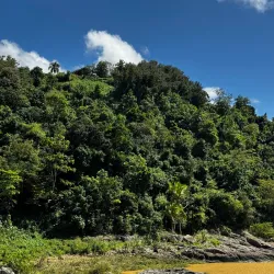 Carraízo Reservoir (Embalse de Carraízo) - Trujillo Alto